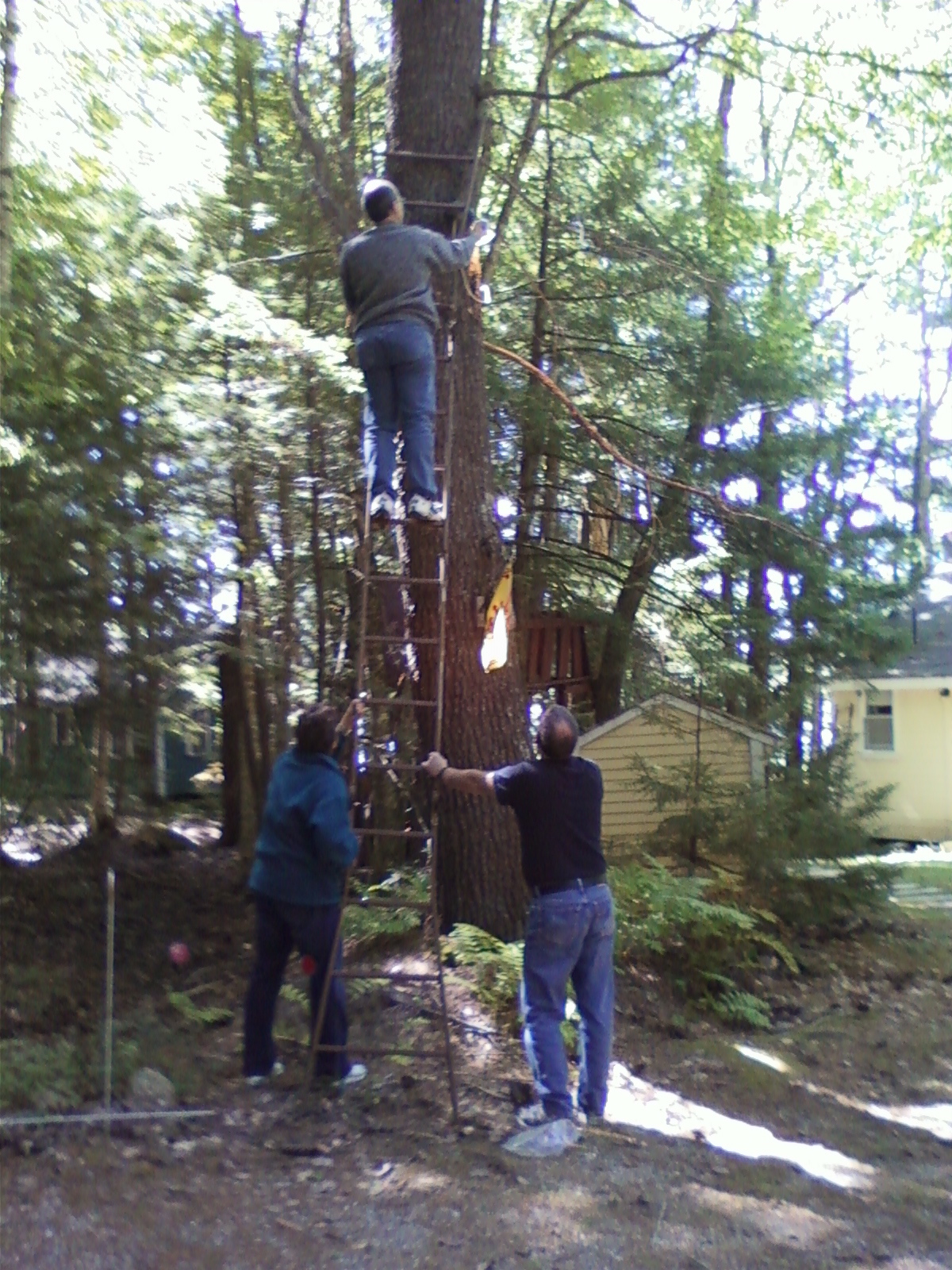 How many to change a light bulb?