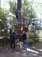How many to change a light bulb?