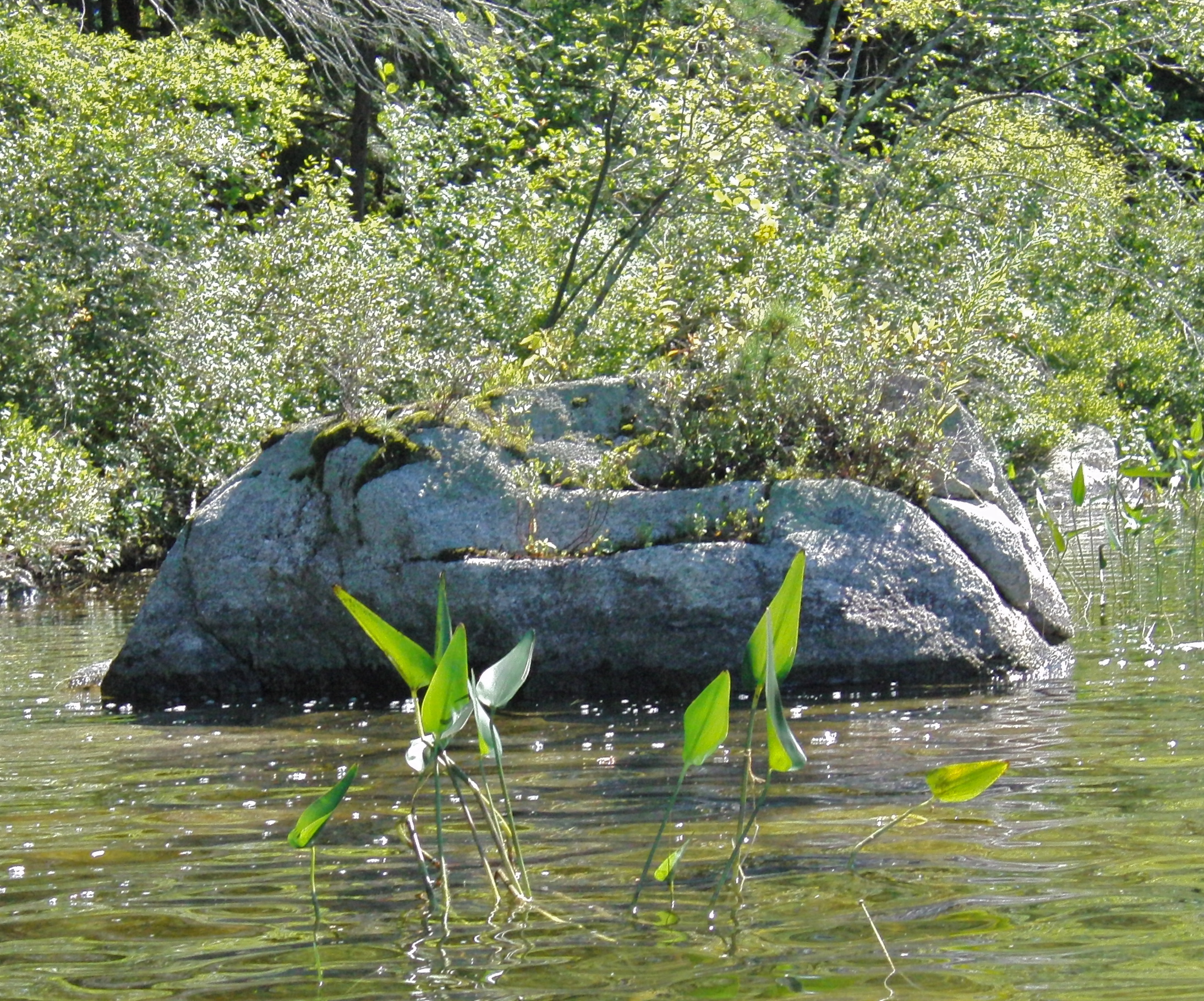 Rock garden in lagoon
