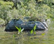 Rock garden in lagoon
