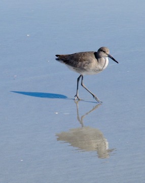Oak Knoll Island