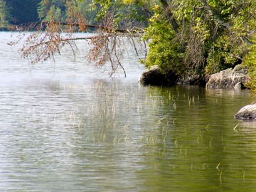 From the dock