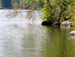 From the dock