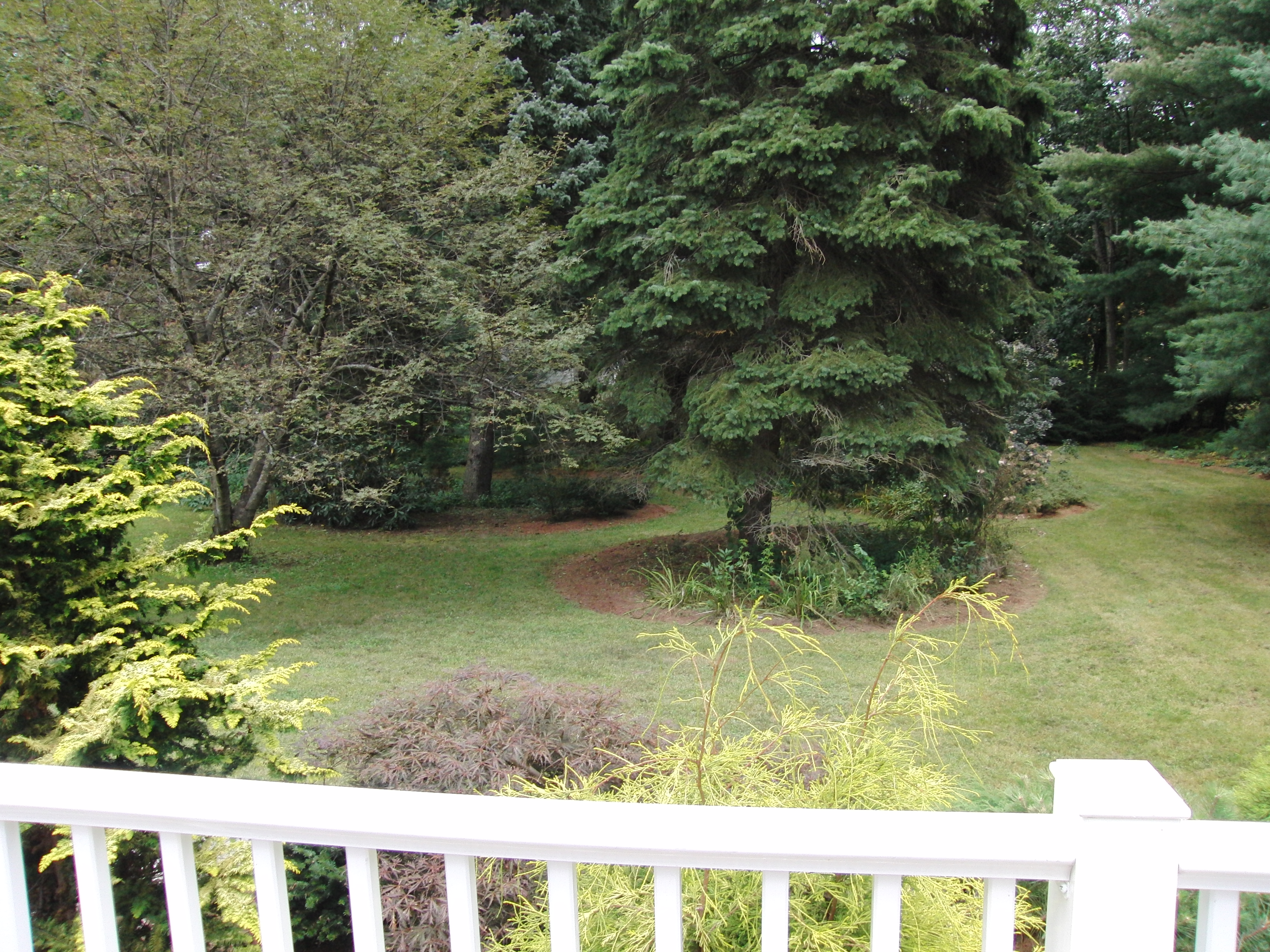 Center from deck