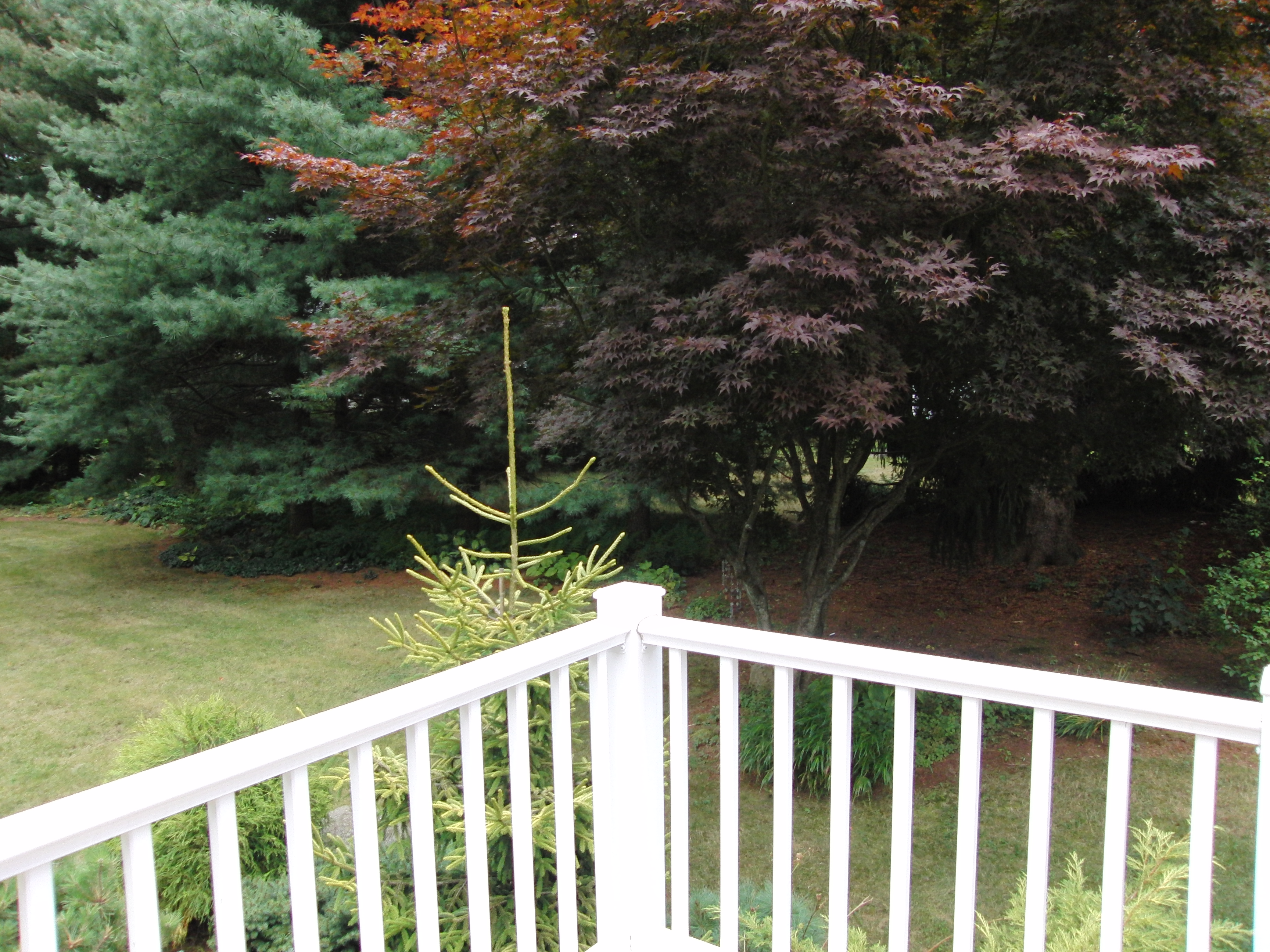 Right from deck