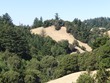 Pretty Hillside