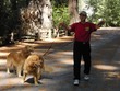 Ben & dogs