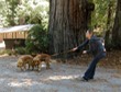 Ariana & dogs