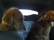 Bianca says Sherman takes too much space