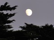Moon over SF