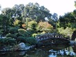 Hakone Japanese garden