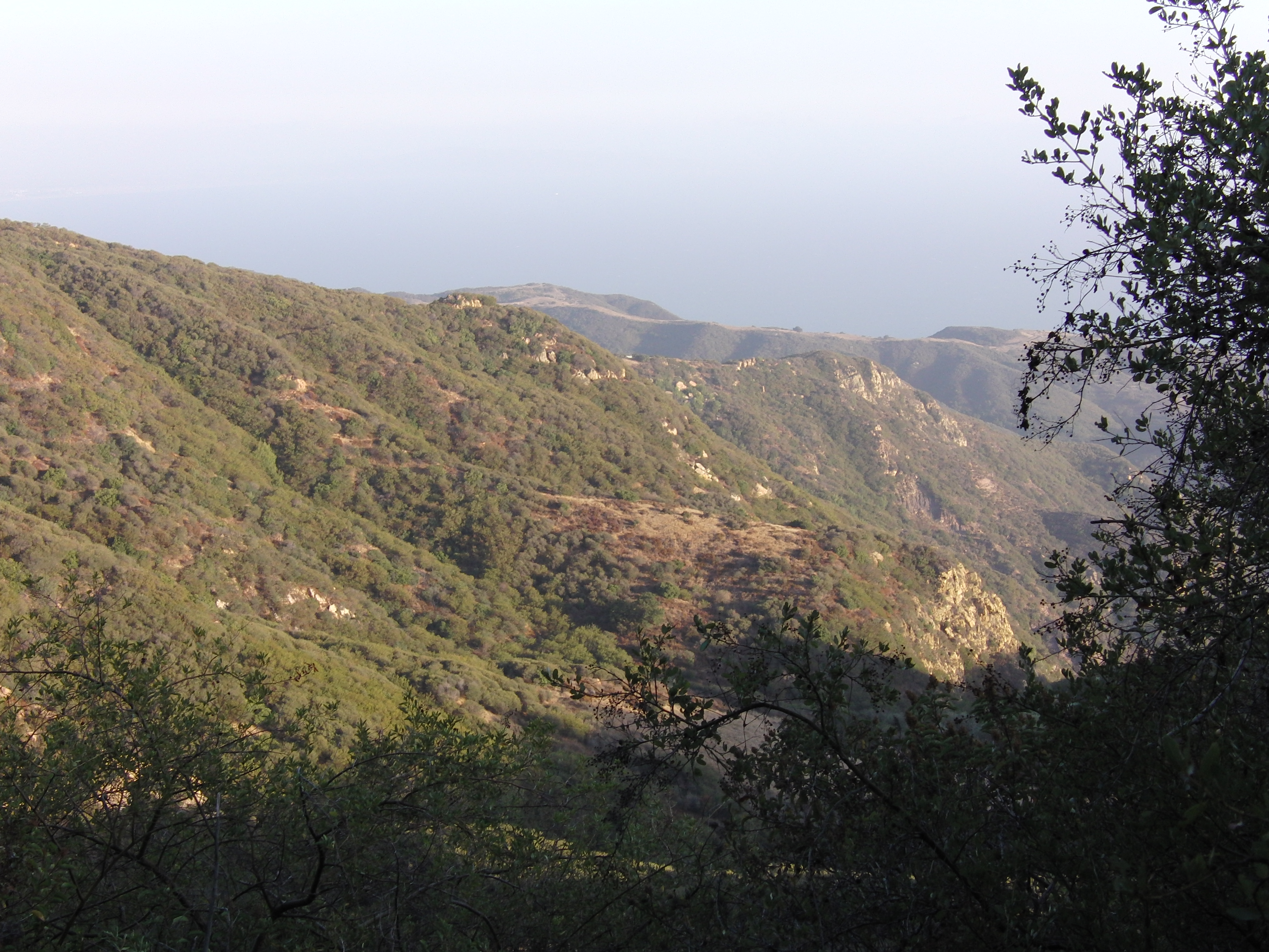 View from fossil trail