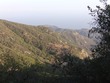 View from fossil trail