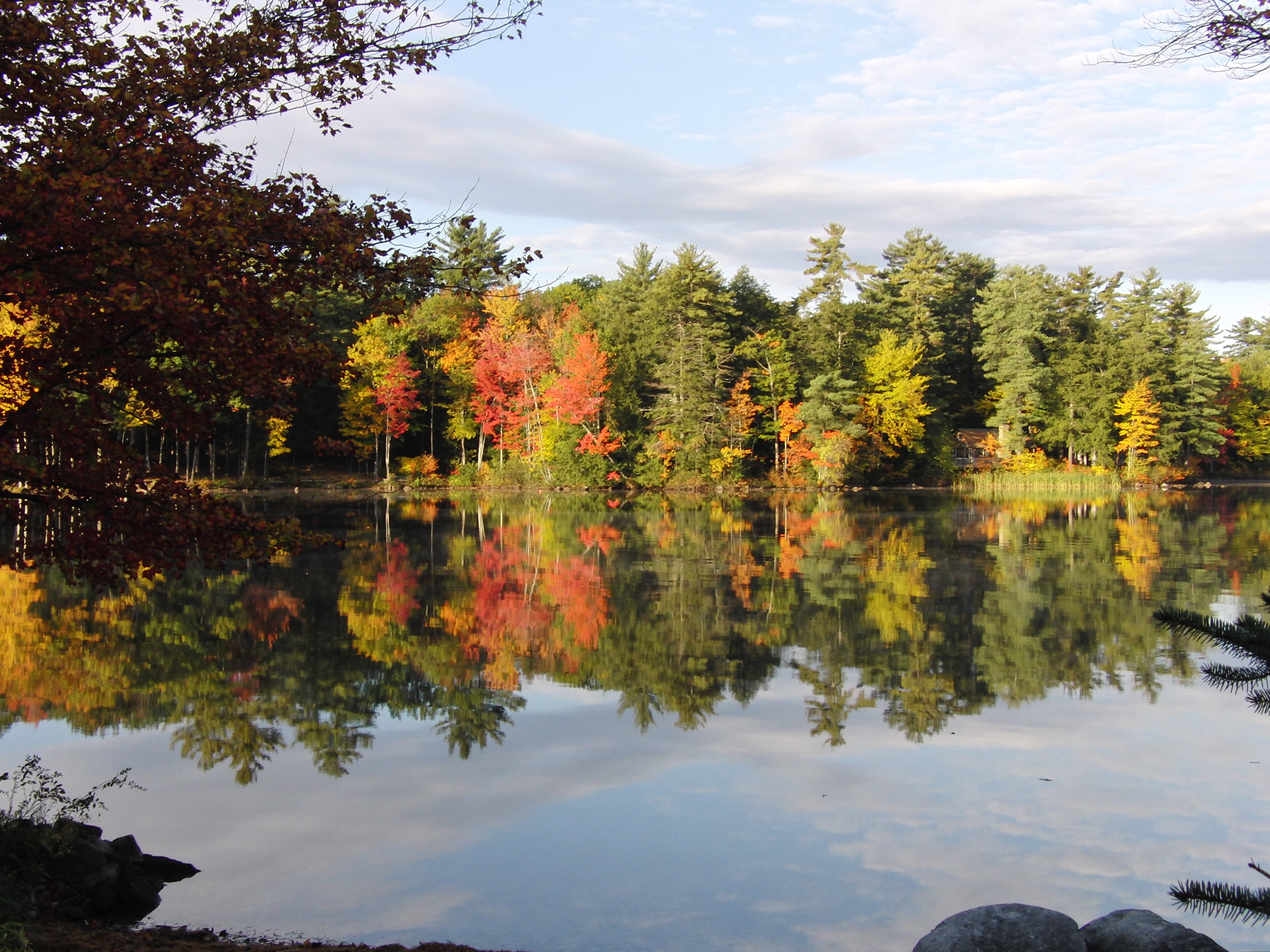 Artful colors
