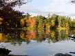 Artful colors
