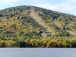 Moose pond