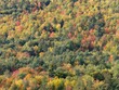 More colors