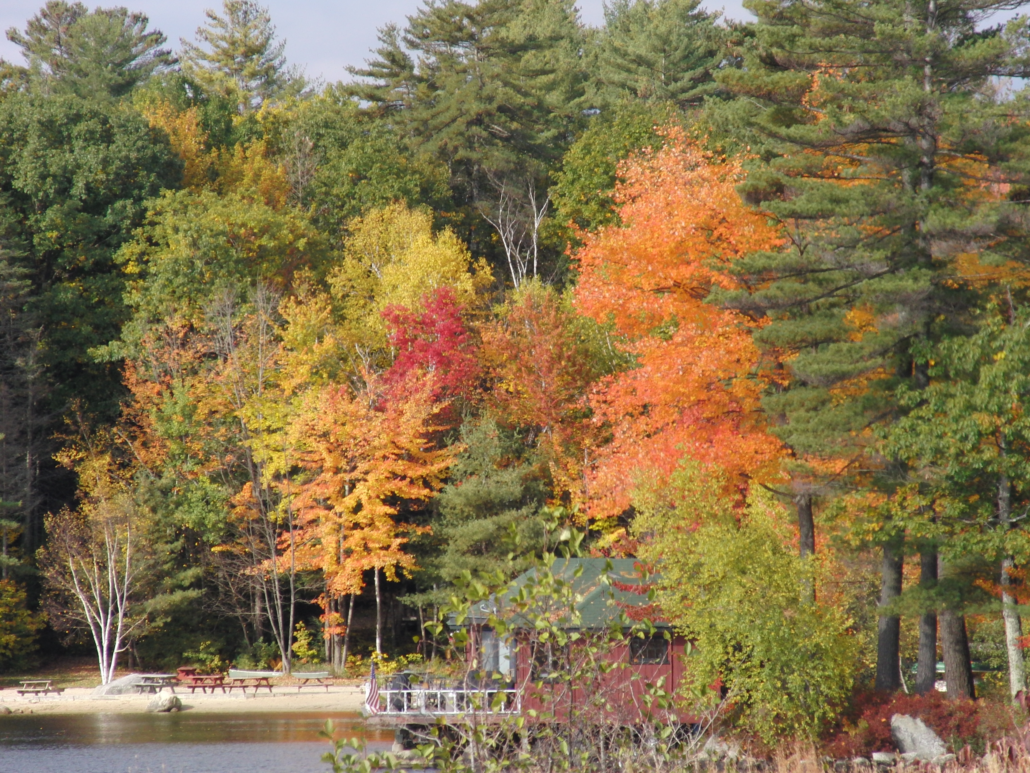 Still more colors