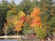 Still more colors