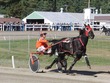 Harness racer