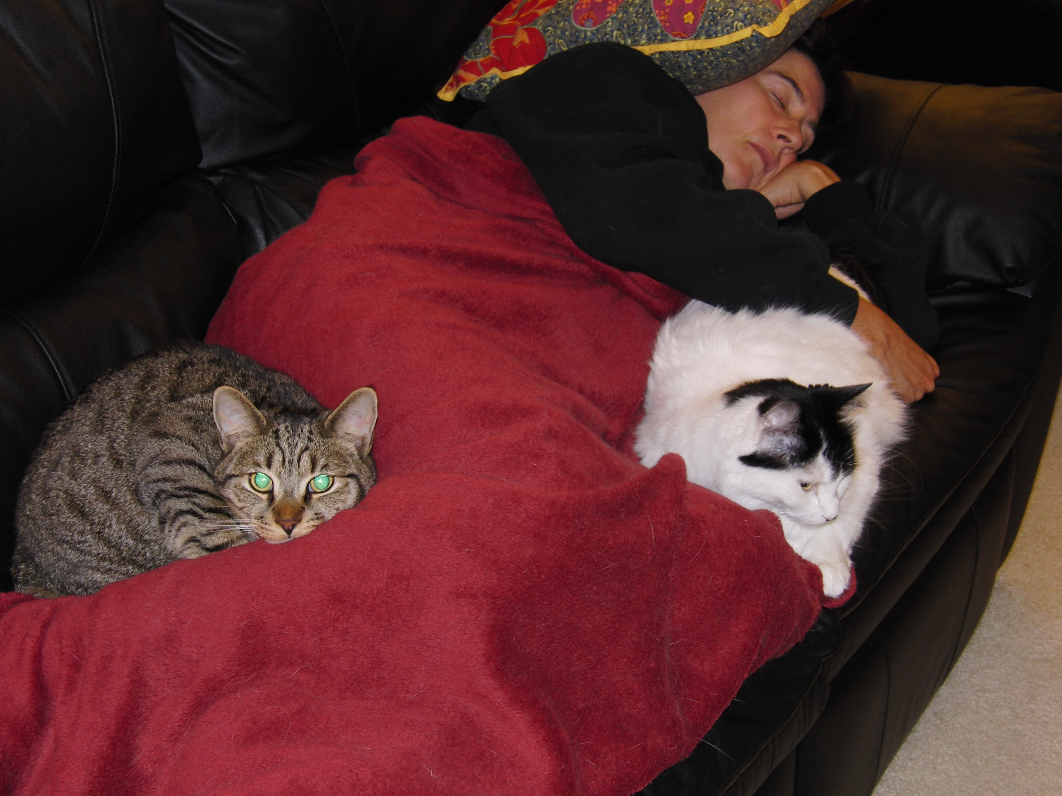 Kathy and kitties
