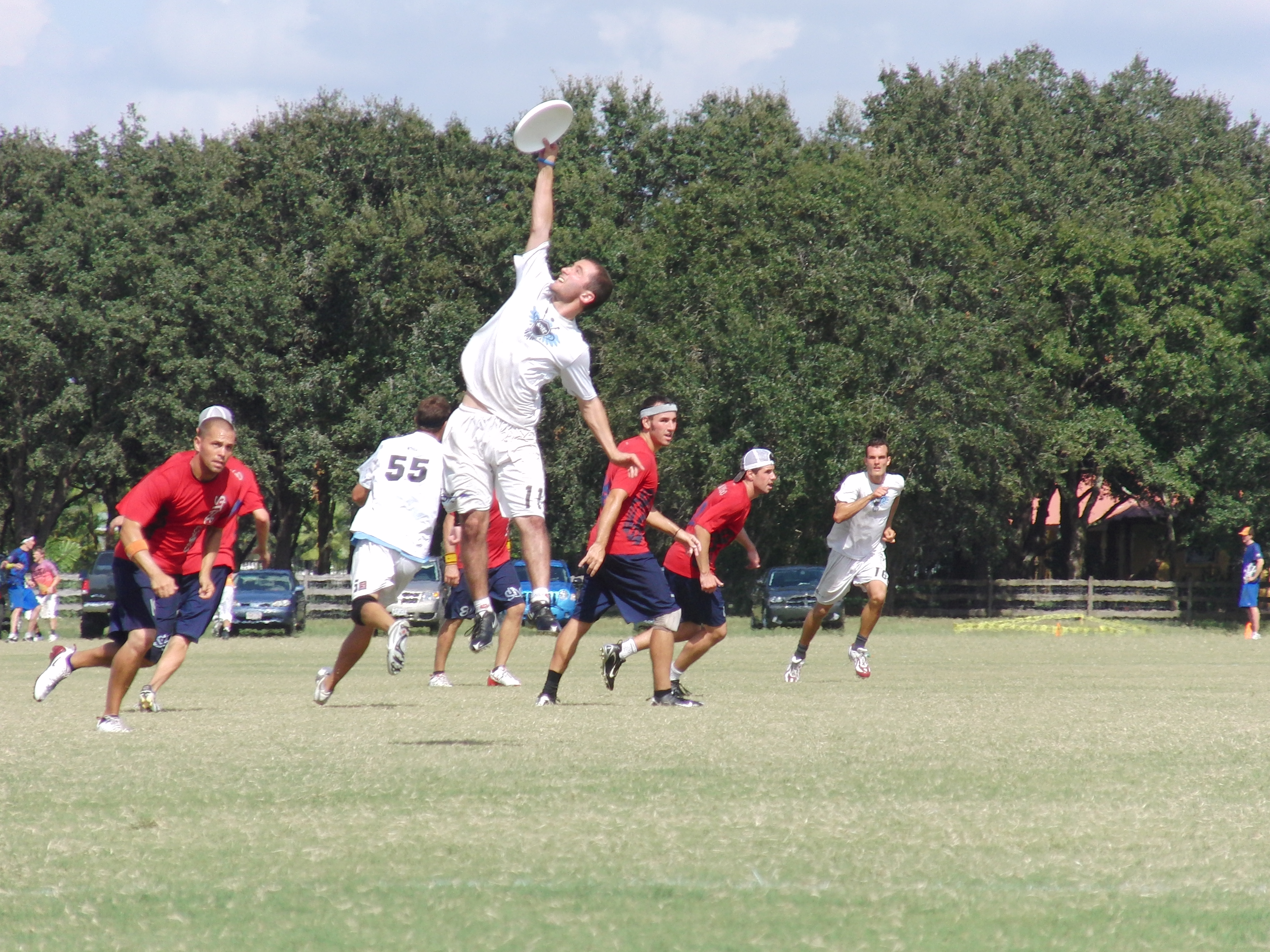 Ross sky grab