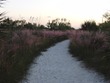 At Siesta Beach