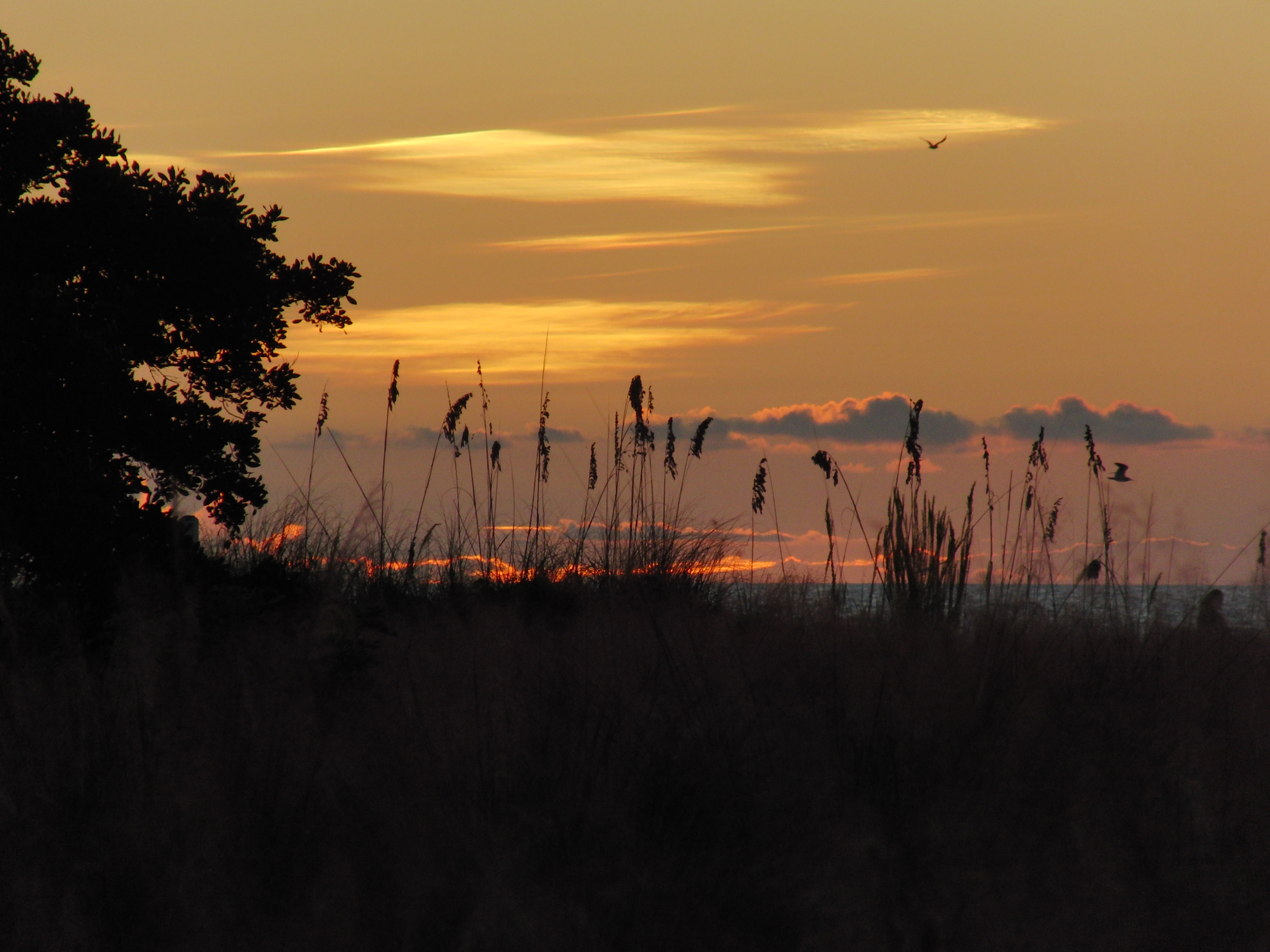 Sunset over Siesta Beach