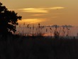 Sunset over Siesta Beach