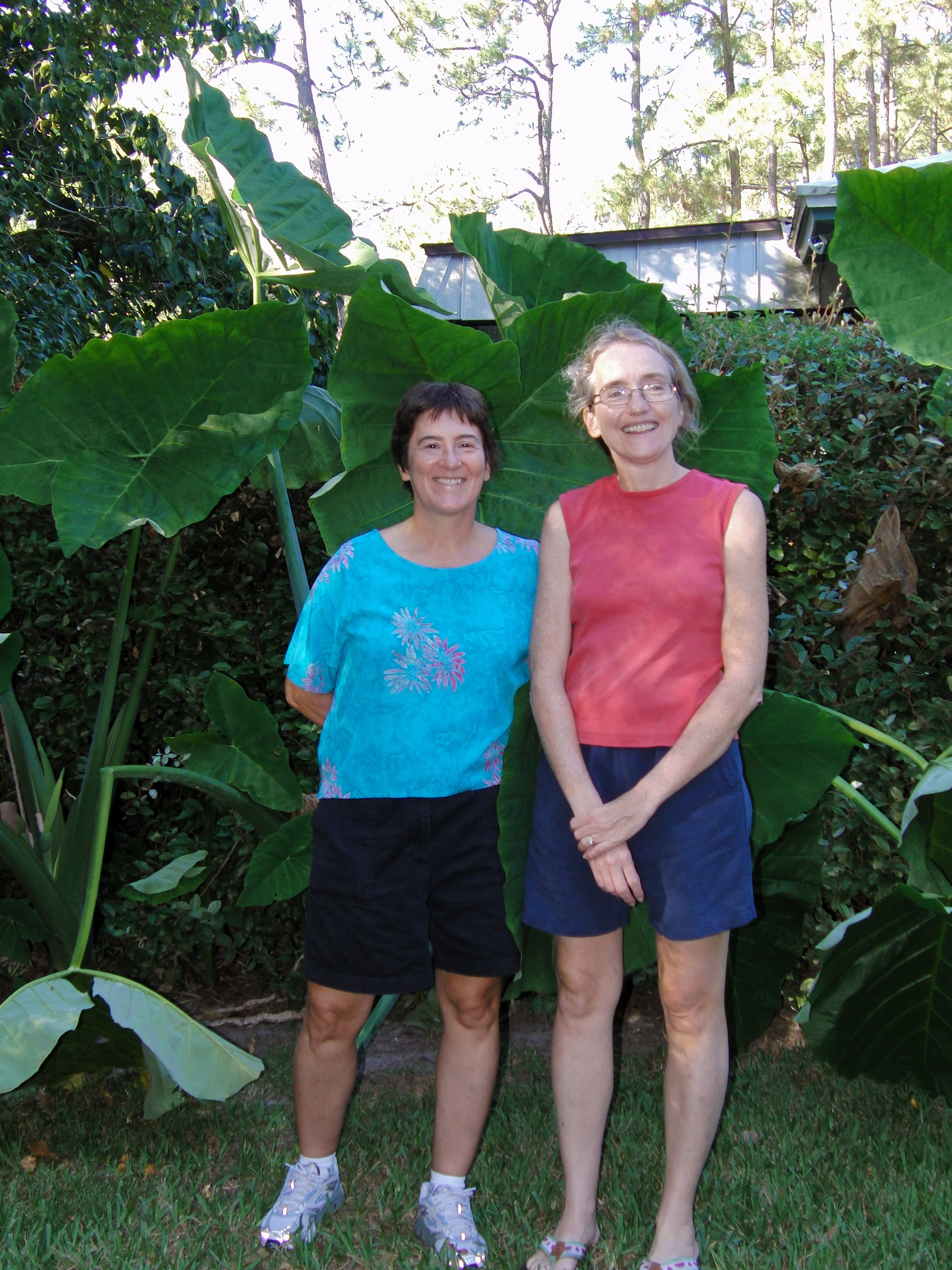 Kathy, Coleen, & Elephant Ears