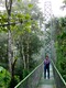 Kathy on the bridge