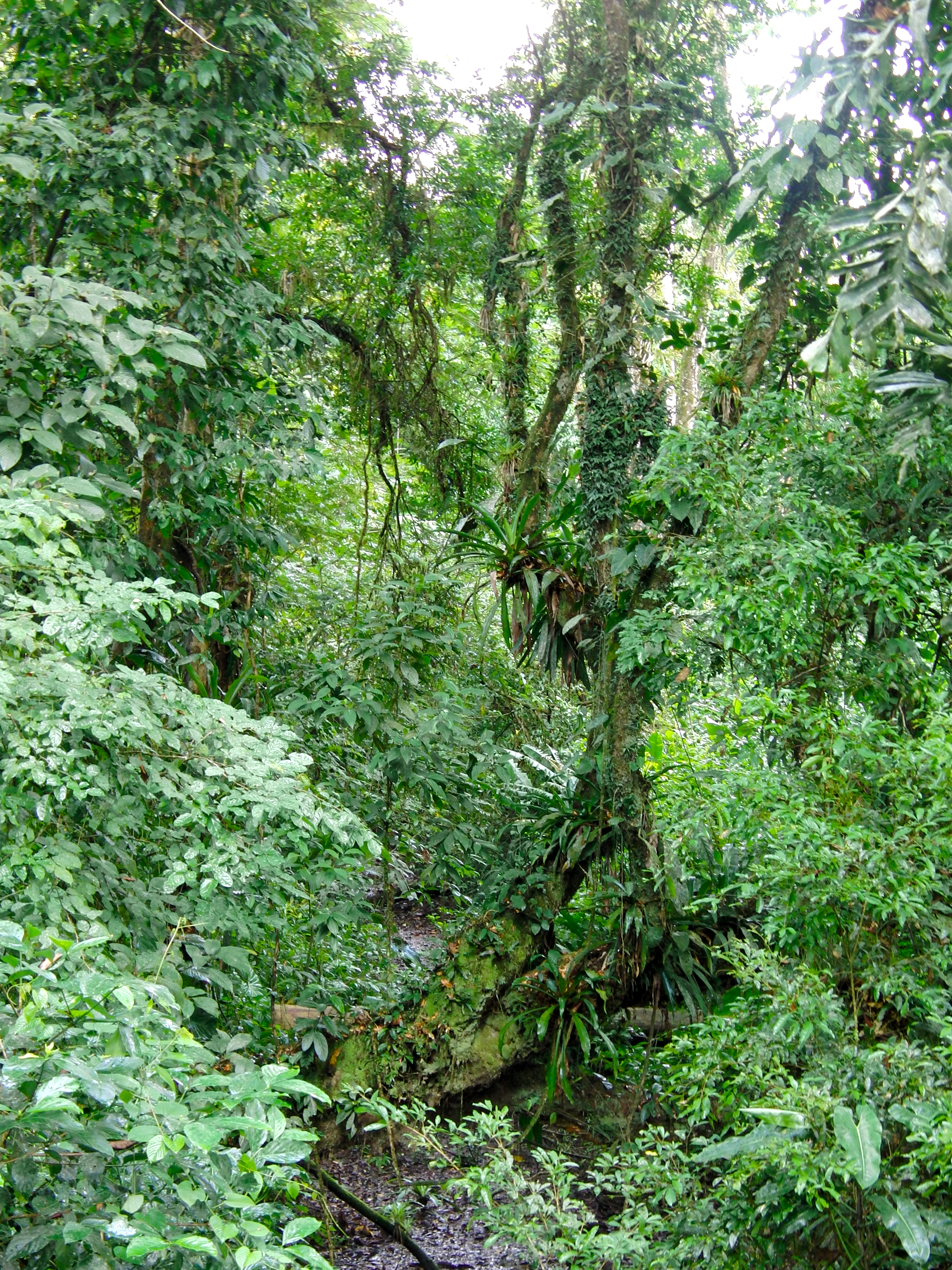 It's a jungle out there!