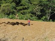 Farmer in the field