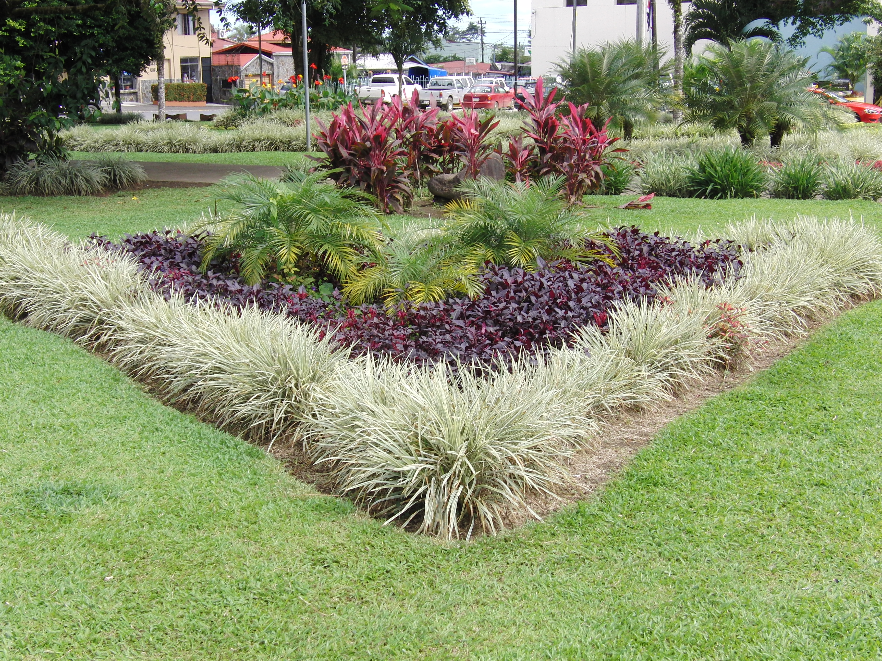 Flowers in La Fortuna