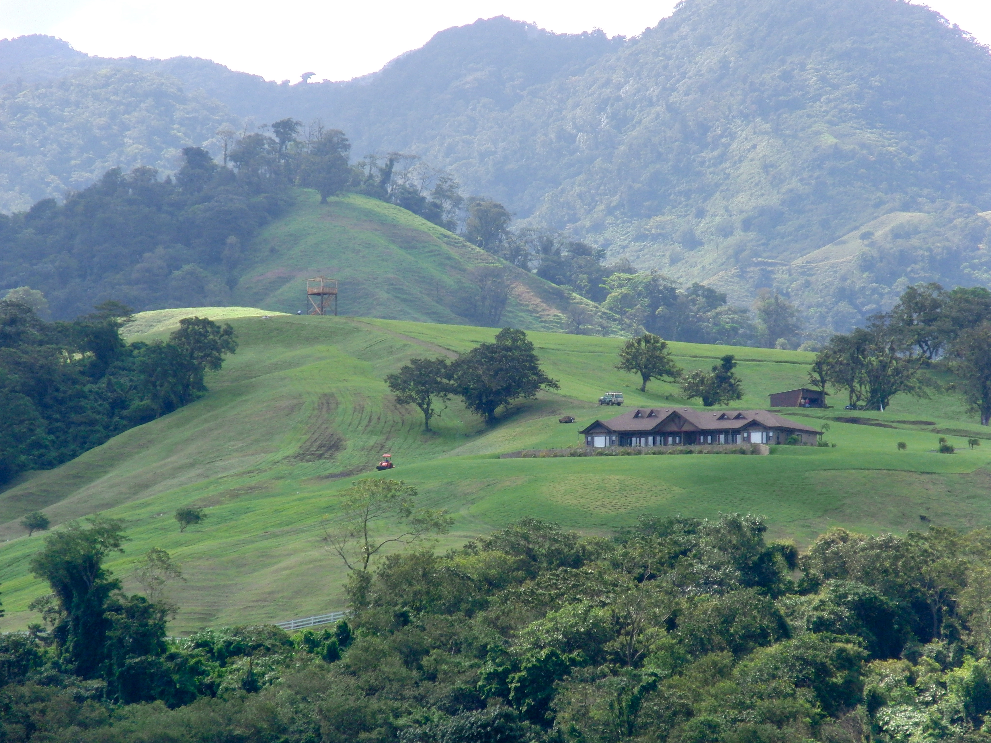 Arenal shoreline