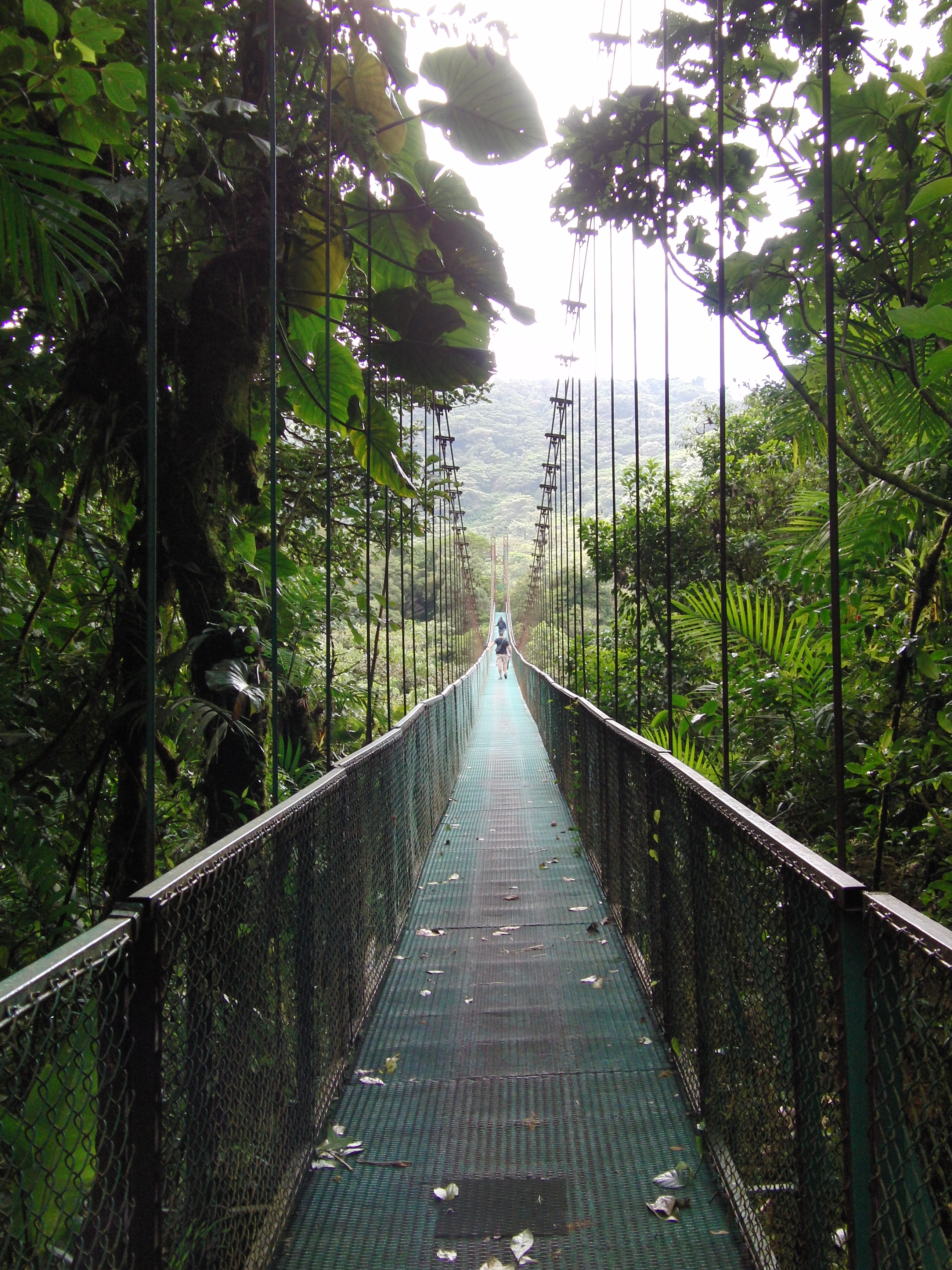Hanging bridge