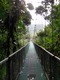 Hanging bridge