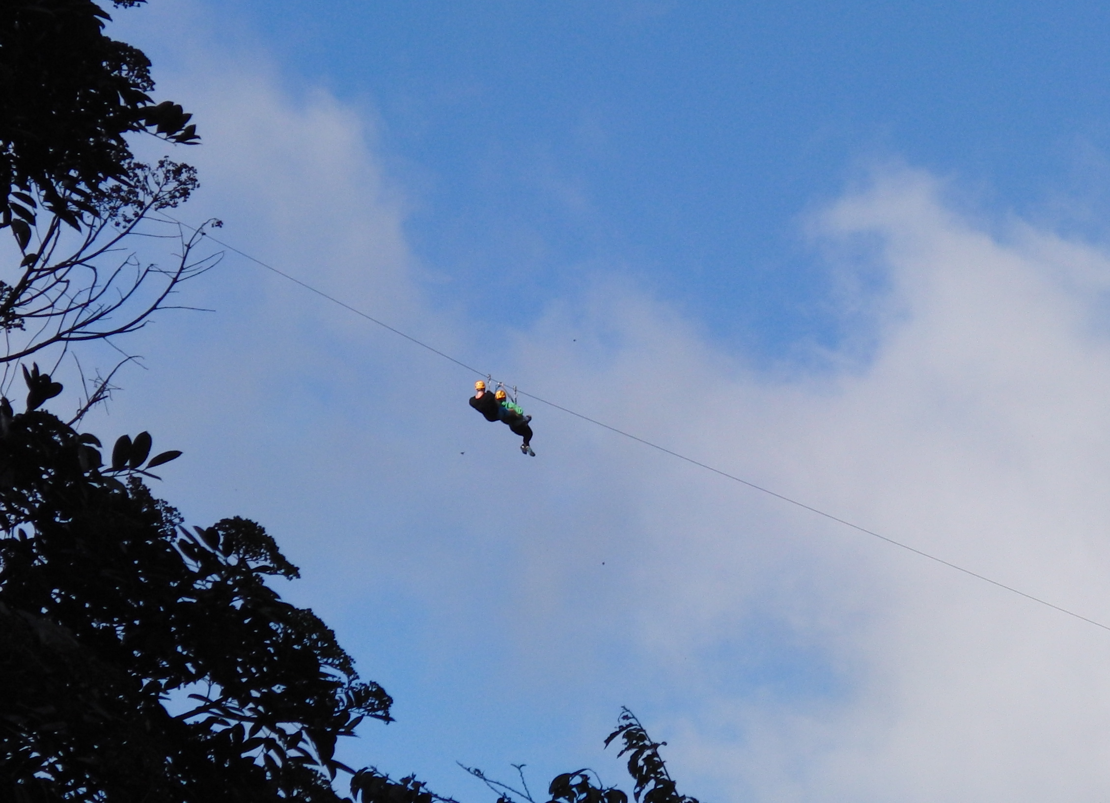 Zipline pair