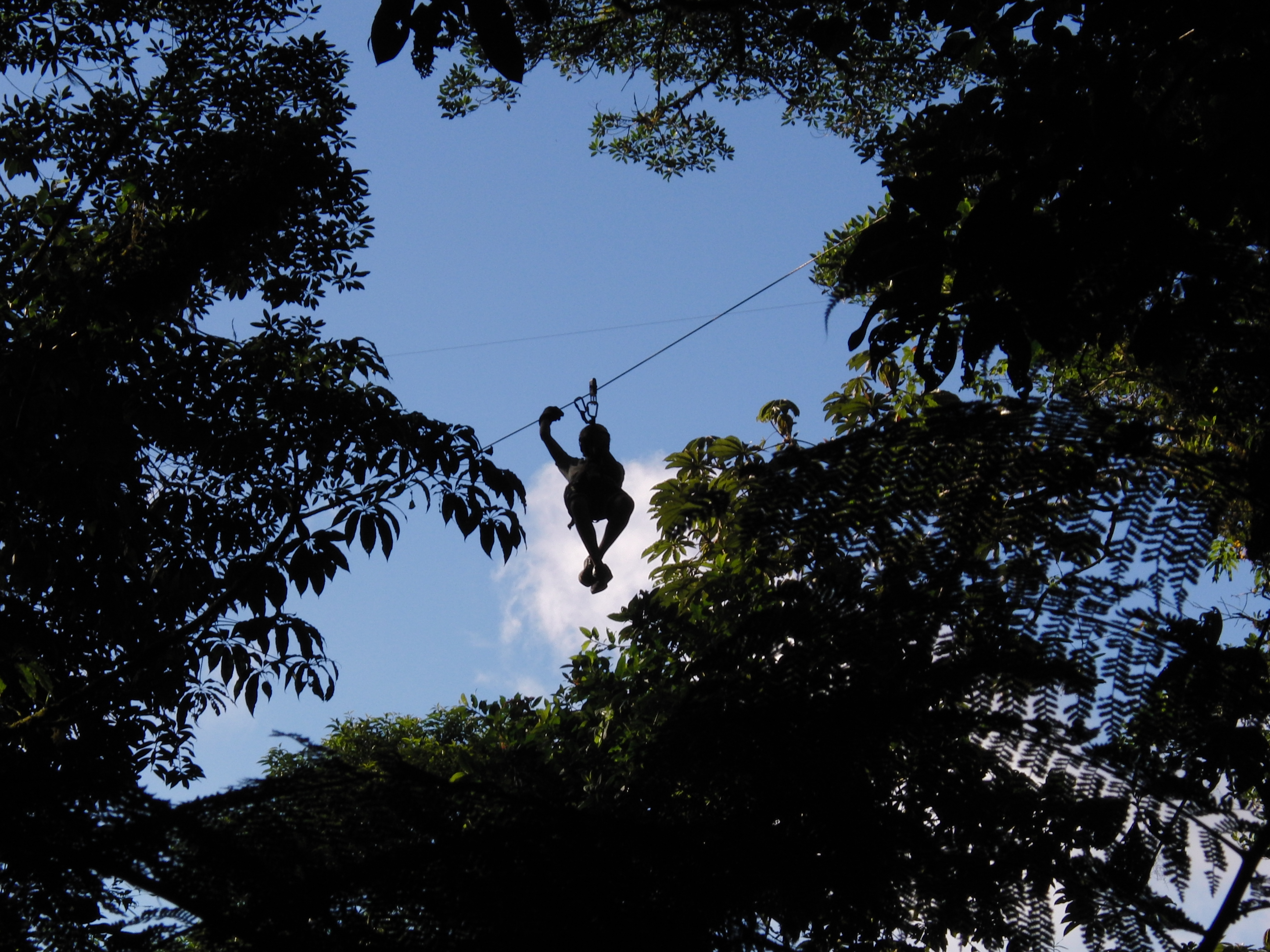 Zipliner