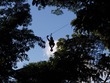 Zipliner
