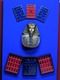 Scarabs