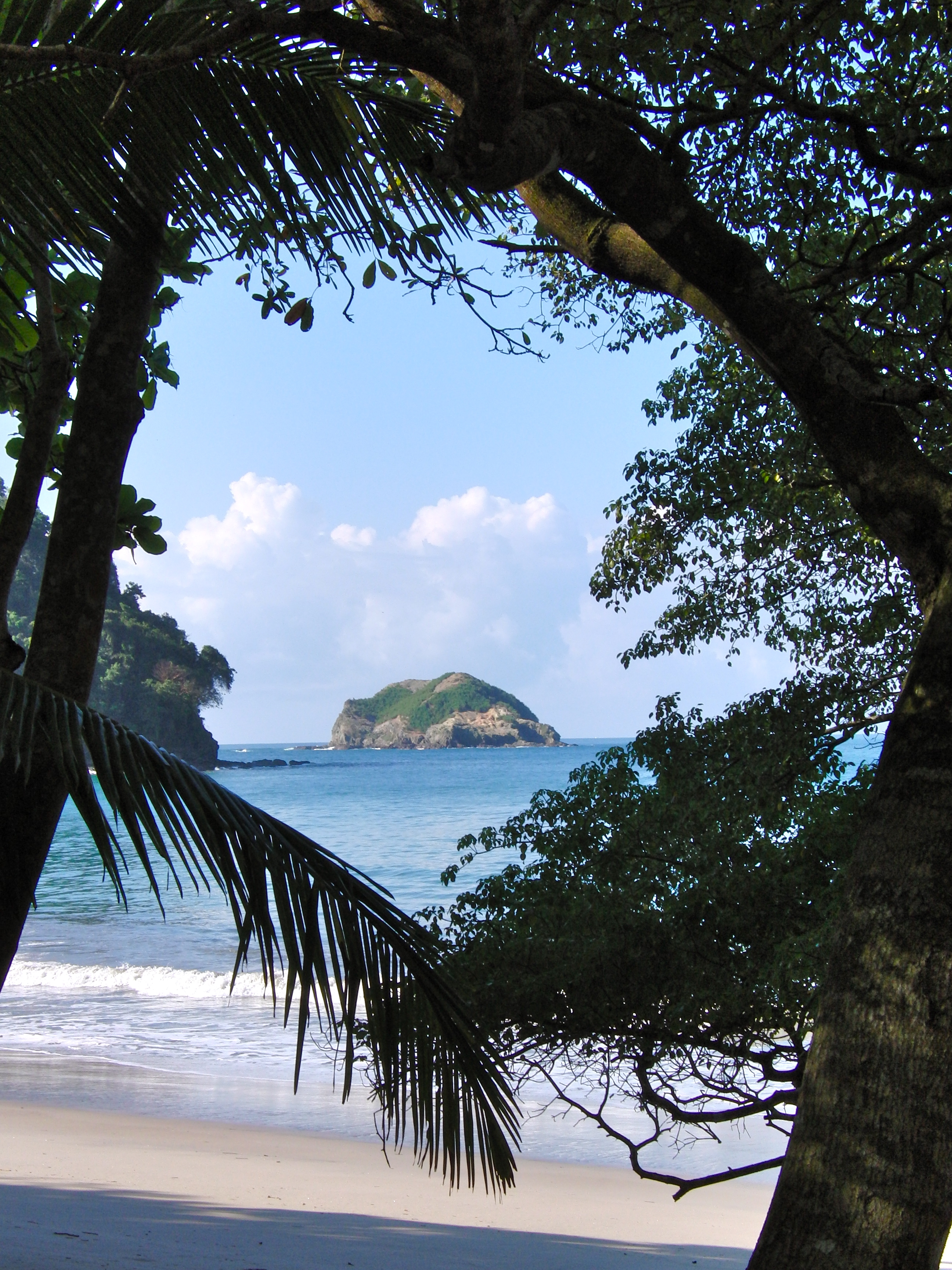 Island in the Pacific