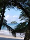 Island in the Pacific