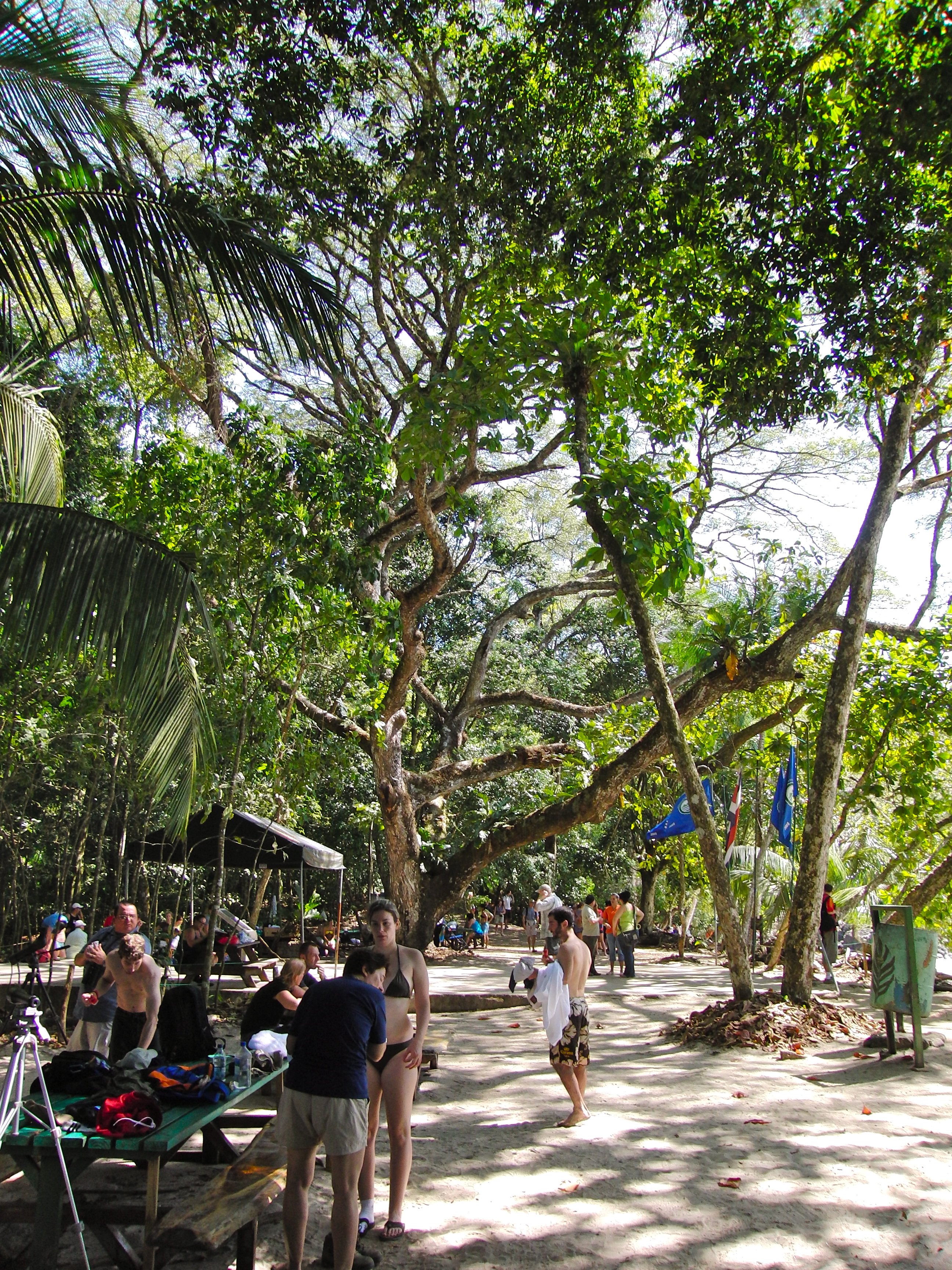 Crowd at Manuel Antonio beach