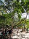Crowd at Manuel Antonio beach