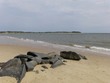 Wellfleet Harbor