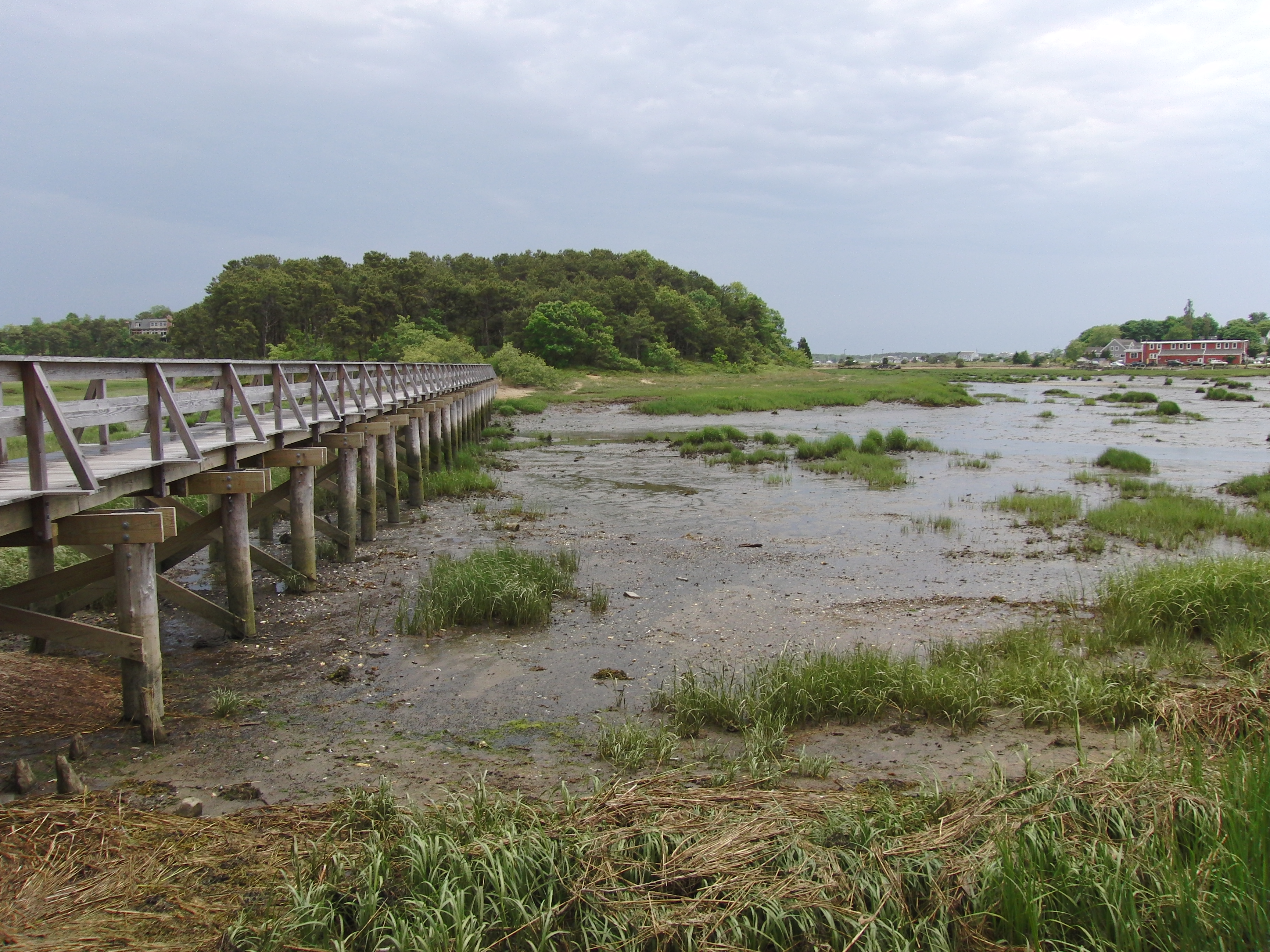 Wellfleet Bridge