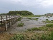 Wellfleet Bridge