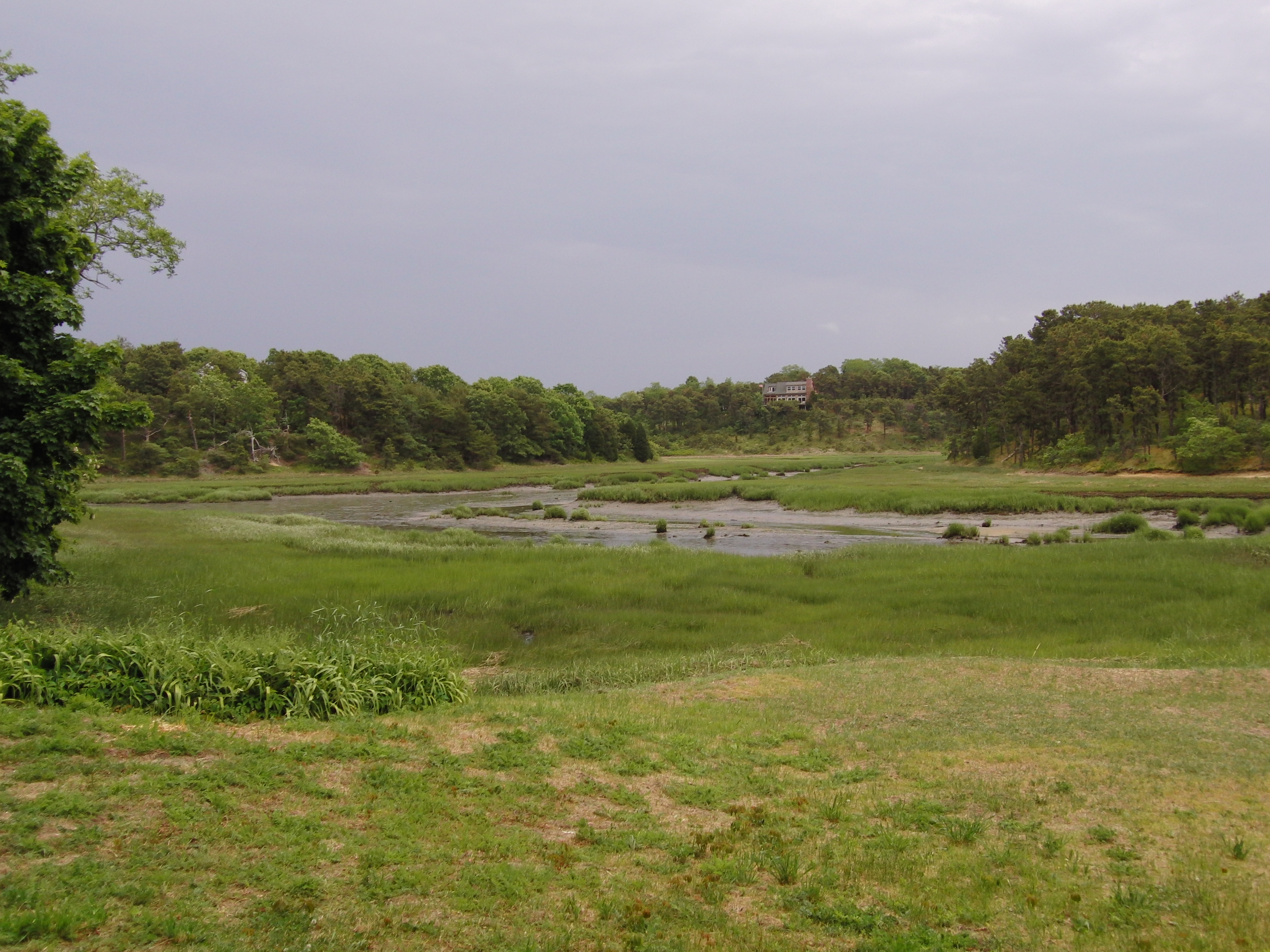 Near Wellfleet Bridge