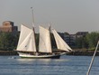 Schooner on the Harbor